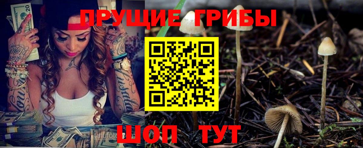 Псилоцибиновые грибы GOLDEN TEACHER Гусь-Хрустальный